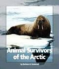 Animal Survivors Of The Arctic