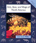 Ants Bees & Wasps Of North America