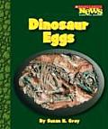 Dinosaur Eggs