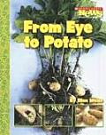 From Eye to Potato (Scholastic News Nonfiction Readers: How Things Grow)
