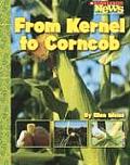 From Kernel To Concob