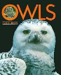 Owls First Book