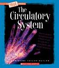 Circulatory System True Book