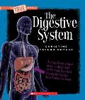 The Digestive System (a True Book: Health and the Human Body)