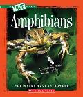 Amphibians (a True Book: Animal Kingdom)