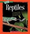 Reptiles (a True Book: Animal Kingdom)