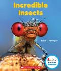 Incredible Insects (Rookie Read-About Science: Strange Animals)