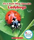 Its a Good Thing There are Ladybugs