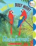 Busy Day Busy Night Rain Forest