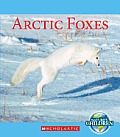 Arctic Foxes