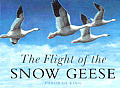 Flight Of The Snow Geese