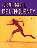 Juvenile Delinquency 8th Edition
