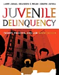 Juvenile Delinquency 9th Edition