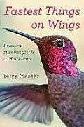Fastest Things on Wings Rescuing Hummingbirds in Hollywood