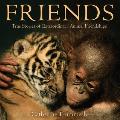 Friends True Stories of Extraordinary Animal Friendships