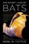 Secret Lives of Bats My Adventures with the Worlds Most Misunderstood Mammals