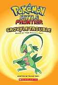 Pokemon Battle Frontier 03 Grovyle Trouble