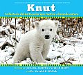 Knut La Historia del Osito Polar Que Cautivo Al Mundo Entero