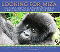 Looking for Miza The True Story of the Mountain Gorilla Family Who Rescued One of Their Own