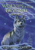 Wolves of the Beyond 04 Frost Wolf