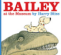 Bailey at the Museum