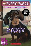 Puppy Place 21 Ziggy