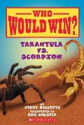 Who Would Win Tarantula vs Scorpion