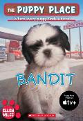 Puppy Place 24 Bandit