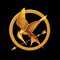 World of the Hunger Games