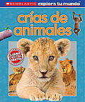 Scholastic Explora Tu Mundo Crias de Animales Spanish Language Edition of Scholastic Discover More Animal Babies