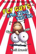 Fly Guy 14 Fly Guys Amazing Tricks
