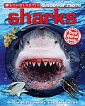 Scholastic Discover More Sharks