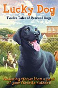 Lucky Dog Twelve Tales of Rescued Dogs