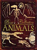 Bone Collection Animals