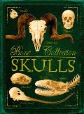 Bone Collection Skulls