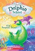 Dolphin School 04 Flips Surprise Talent