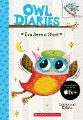 Owl Diaries 02 Eva Sees a Ghost Branches Growing Readers