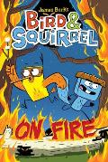 Bird & Squirrel 04 On Fire