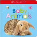 Touch & Feel Baby Animals Scholastic Early Learners