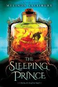 The Sleeping Prince: A Sin Eater's Daughter Novel: A Sin Eater's Daughter Novel