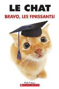 Le Chat Bravo Les Finissants