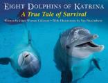 Eight Dolphins of Katrina A True Tale of Survival