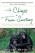 Chimps of Fauna Sanctuary