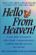 Hello From Heaven A New Field Of Researc