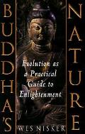 Buddhas Nature Evolution As A Practical