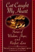 Cat Caught Your Heart Stories Of Wisdom