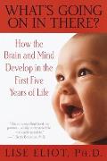 Whats Going on in There How the Brain & Mind Develop in the First Five Years of Life