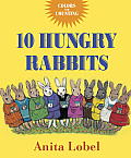 10 Hungry Rabbits Counting & Color Concepts
