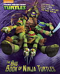 Big Book of Ninja Turtles Teenage Mutant Ninja Turtles