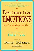 Destructive Emotions How Can We Overcome Them A Scientific Dialogue with the Dalai Lama